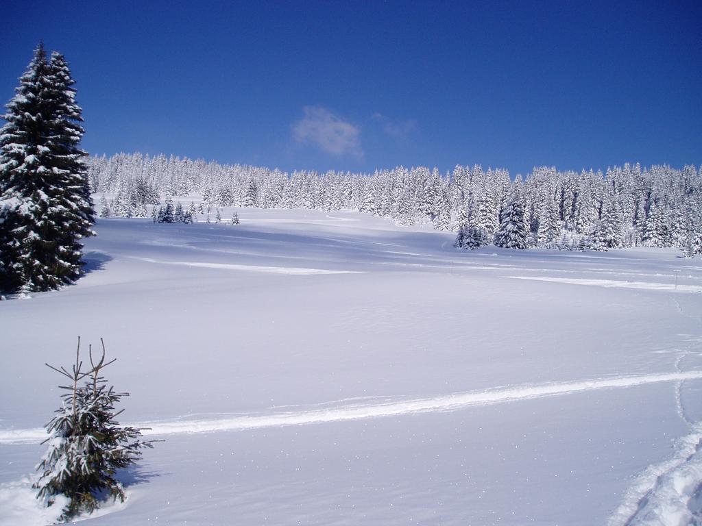 Chalet-Hotel Du Borderan La Clusaz Dış mekan fotoğraf